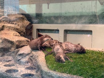 サンシャイン水族館に投稿された画像（2021/12/12）