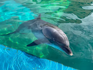 横浜・八景島シーパラダイスに投稿された画像（2021/12/12）