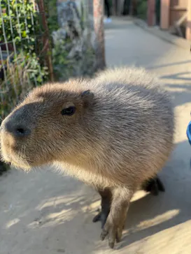 横浜・八景島シーパラダイスに投稿された画像（2021/12/12）
