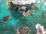 名古屋港水族館に投稿された画像（2021/12/12）