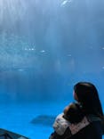 名古屋港水族館に投稿された画像（2021/12/12）