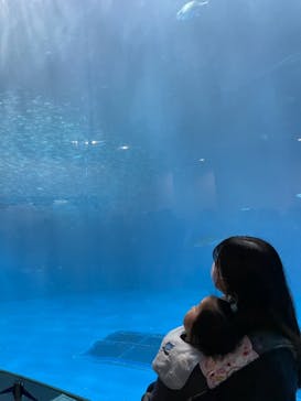 名古屋港水族館に投稿された画像（2021/12/12）