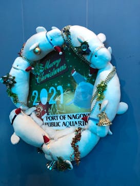 名古屋港水族館に投稿された画像（2021/12/12）