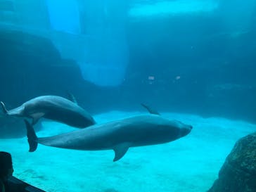 名古屋港水族館に投稿された画像（2021/12/12）
