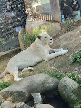 沖縄こどもの国に投稿された画像（2021/12/12）