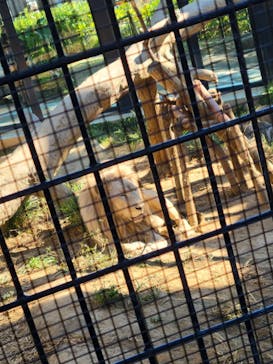 沖縄こどもの国に投稿された画像（2021/12/12）