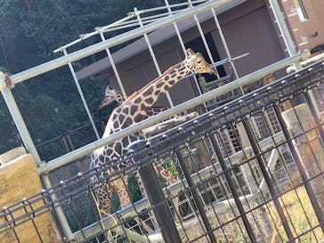 沖縄こどもの国に投稿された画像（2021/12/12）