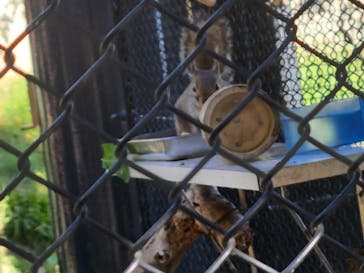 沖縄こどもの国に投稿された画像（2021/12/12）