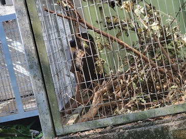 沖縄こどもの国に投稿された画像（2021/12/12）