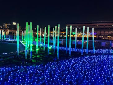 東京メガイルミに投稿された画像（2021/12/12）