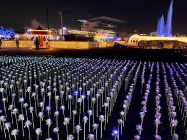 東京メガイルミに投稿された画像（2021/12/12）