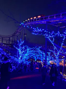 ひらかたパークに投稿された画像（2021/12/12）