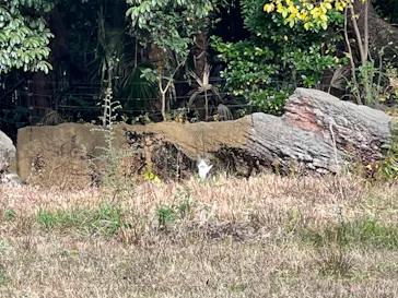 天王寺動物園に投稿された画像（2021/12/12）