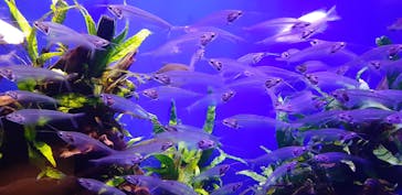 サンシャイン水族館に投稿された画像（2021/12/12）