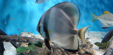 サンシャイン水族館に投稿された画像（2021/12/12）