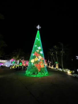 美らヤシパークオキナワ・東南植物楽園に投稿された画像（2021/12/12）