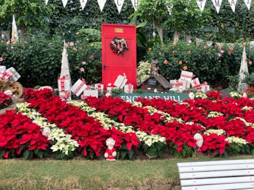 淡路ファームパーク イングランドの丘に投稿された画像（2021/12/12）