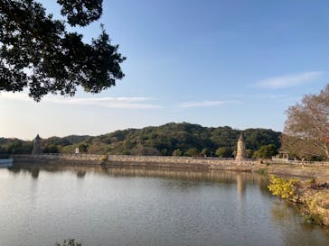 淡路ファームパーク イングランドの丘に投稿された画像（2021/12/12）