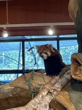 ネオパークオキナワに投稿された画像（2021/12/12）