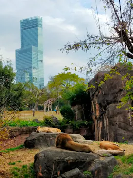 天王寺動物園に投稿された画像（2021/12/12）