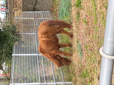 天王寺動物園に投稿された画像（2021/12/12）