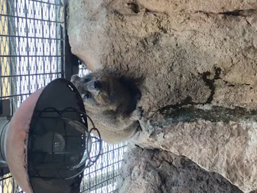 天王寺動物園に投稿された画像（2021/12/12）