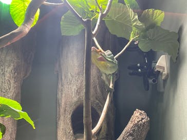 カワスイ 川崎⽔族館に投稿された画像（2021/12/12）