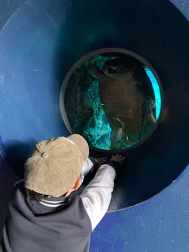 箱根園水族館に投稿された画像（2021/12/12）