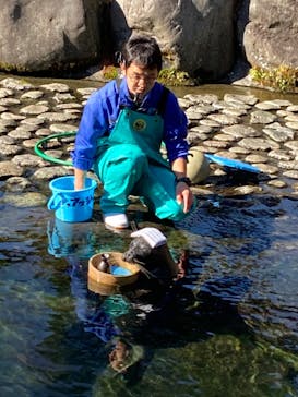 箱根園水族館に投稿された画像（2021/12/12）