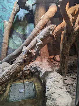 天王寺動物園に投稿された画像（2021/12/12）