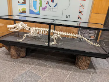 天王寺動物園に投稿された画像（2021/12/12）