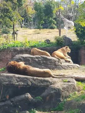 天王寺動物園に投稿された画像（2021/12/12）