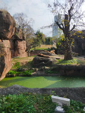 天王寺動物園に投稿された画像（2021/12/12）