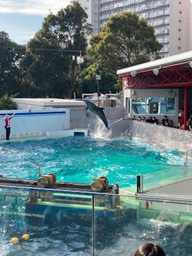 しながわ水族館に投稿された画像（2021/12/12）