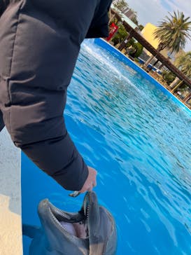 南知多ビーチランド＆南知多おもちゃ王国に投稿された画像（2021/12/12）