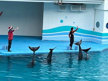 南知多ビーチランド＆南知多おもちゃ王国に投稿された画像（2021/12/12）