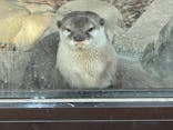 しろとり動物園に投稿された画像（2021/12/12）