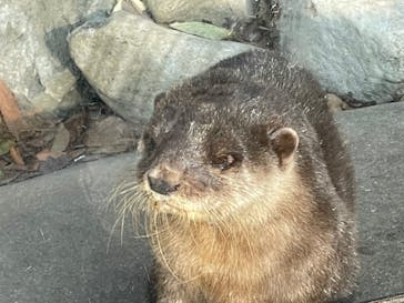 しろとり動物園に投稿された画像（2021/12/12）