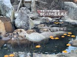 伊豆シャボテン動物公園に投稿された画像（2021/12/12）