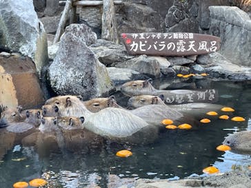 伊豆シャボテン動物公園に投稿された画像（2021/12/12）