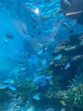 名古屋港水族館に投稿された画像（2021/12/12）