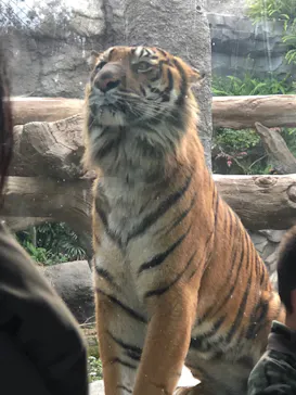 神戸どうぶつ王国に投稿された画像（2021/12/12）