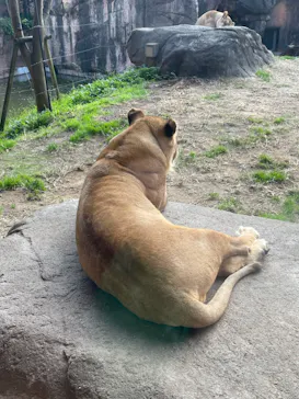 天王寺動物園に投稿された画像（2021/12/12）