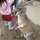 神戸どうぶつ王国に投稿された画像（2021/12/12）