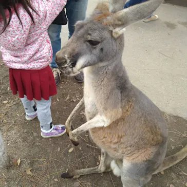 神戸どうぶつ王国に投稿された画像（2021/12/12）
