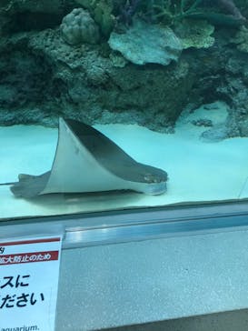 名古屋港水族館に投稿された画像（2021/12/12）