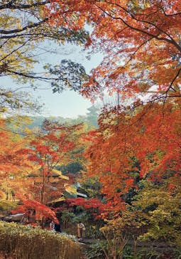 三溪園に投稿された画像（2021/12/12）