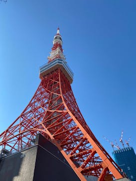 東京タワーに投稿された画像（2021/12/12）