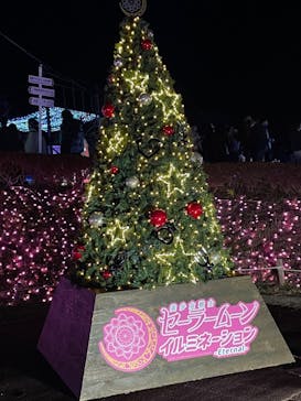 さがみ湖MORI MORIに投稿された画像（2021/12/12）