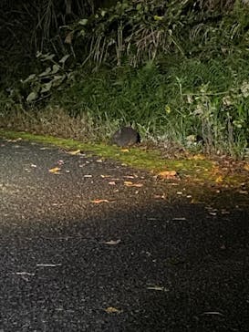 マングローブ茶屋に投稿された画像（2021/12/12）